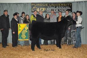 Supreme heifer
Purdue AGR
3rd Overall KILE